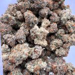 GEAR 14” Tall Beaker Tube Worked Top Bong