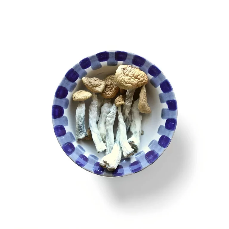 Mexican Cubensis (Blue Goba)