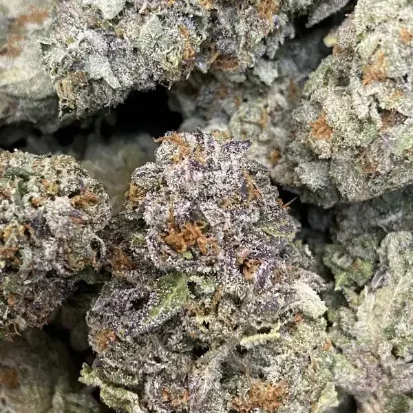 LA Kush Cake (Beautiful BC Flowers)