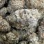Sour Diesel (Headwater Cannabis)