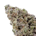 Blueberry Pie (Jungle Ridge)