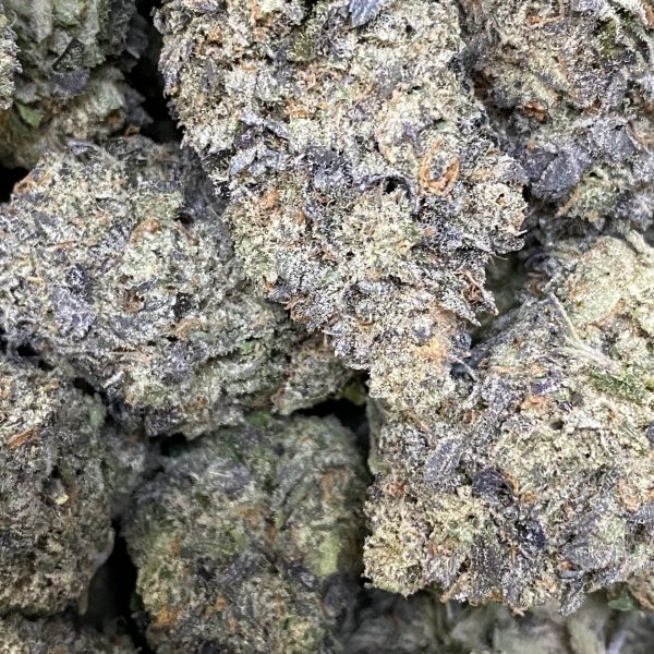 Purple Kush (Koots Canna)