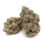 LSO Animal Cookies (Albatross)